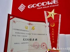 固德威儲能逆變器斬獲太瓦級鉆石獎，2019SNEC完美收官！