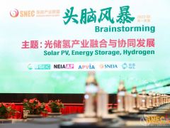新年展新“綠”，“綠電”制氫加速！ SNEC氫能產(chǎn)業(yè)聯(lián)盟2022(第一季度)頭腦風(fēng)暴隆重舉行