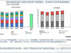 IEA：全球氫能需求今年將達(dá)1億噸！中國(guó)電解槽產(chǎn)能占八成！