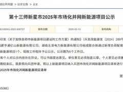 國家電投聯(lián)合體申報！新疆300MW風(fēng)電項目公示
