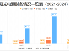 31.64億砸出技術(shù)底氣，逆變器“性能猛獸”重寫(xiě)行業(yè)標(biāo)準(zhǔn)